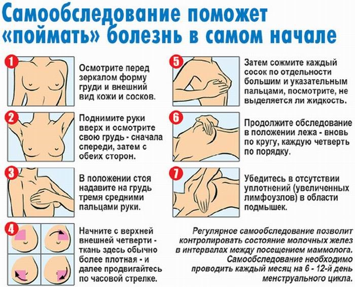 самообследование