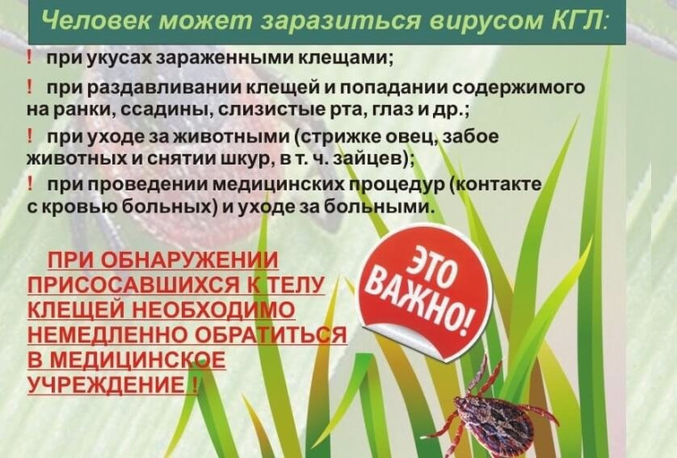 8ef1b78ef551488a260b0753c523292c