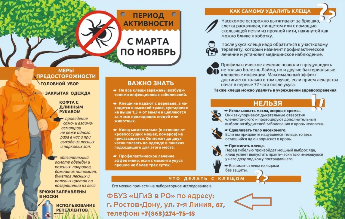 куда нести клеща