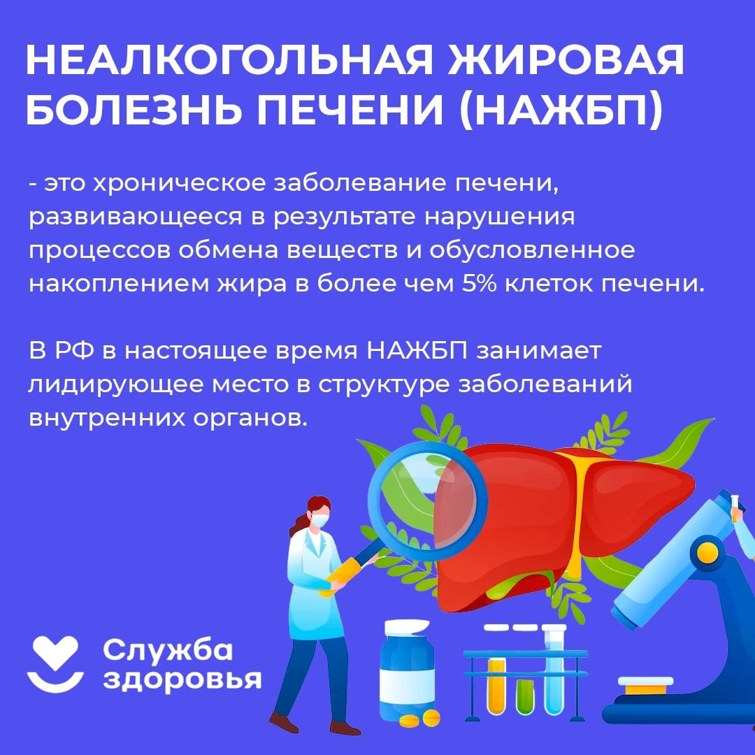 Береги печень смолоду 3