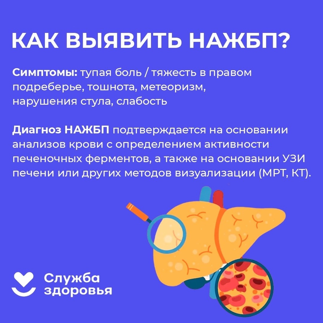 Береги печень смолоду 4