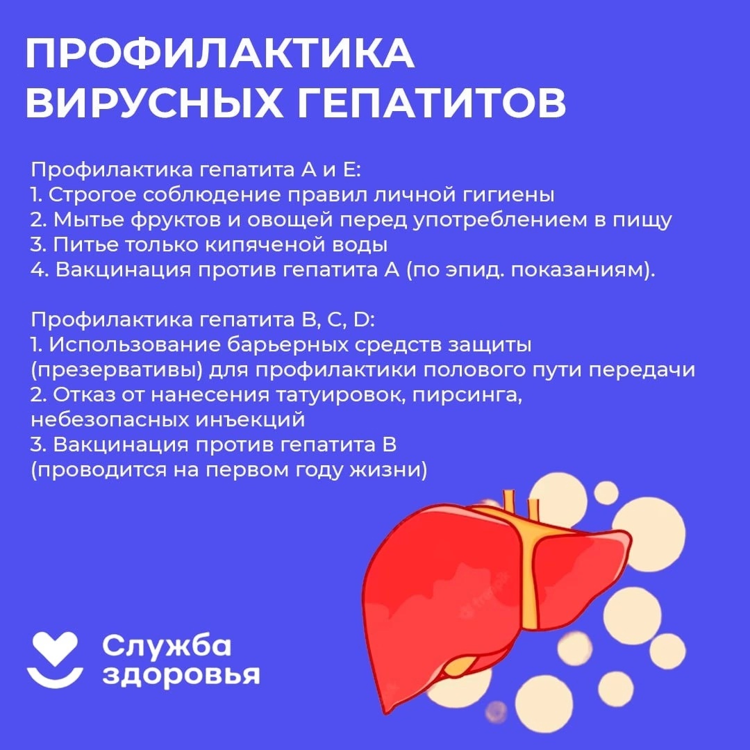 Береги печень смолоду 8