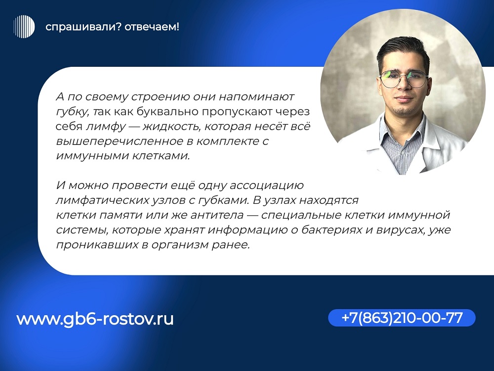 лимфоузлы Матью 2