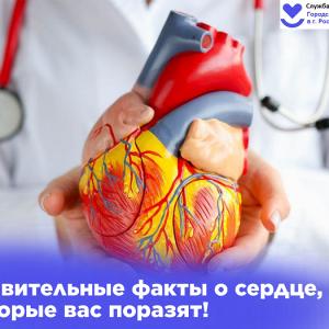 Важно знать