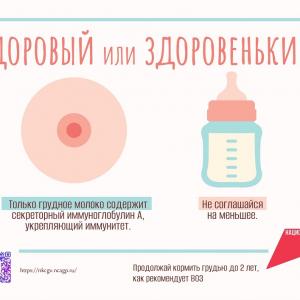Материнство